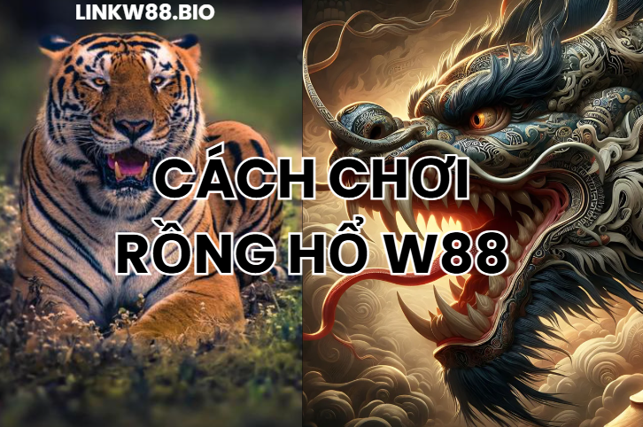 Cách chơi rồng hổ w88 siêu đơn giản Cách chơi rồng hổ w88 siêu đơn giản