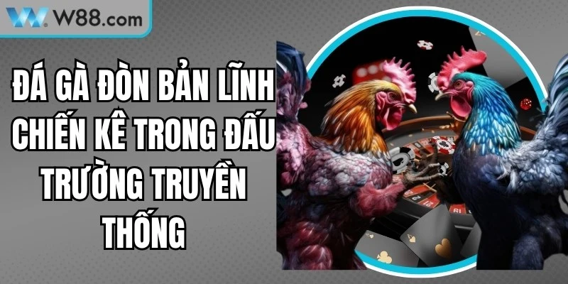 Đá Gà Đòn